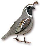 Old School Birdhouse - Fowl Places